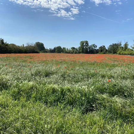 Location Gite Campagne En Provence - Vaucluse Pernes-les-Fontaines Esterno foto