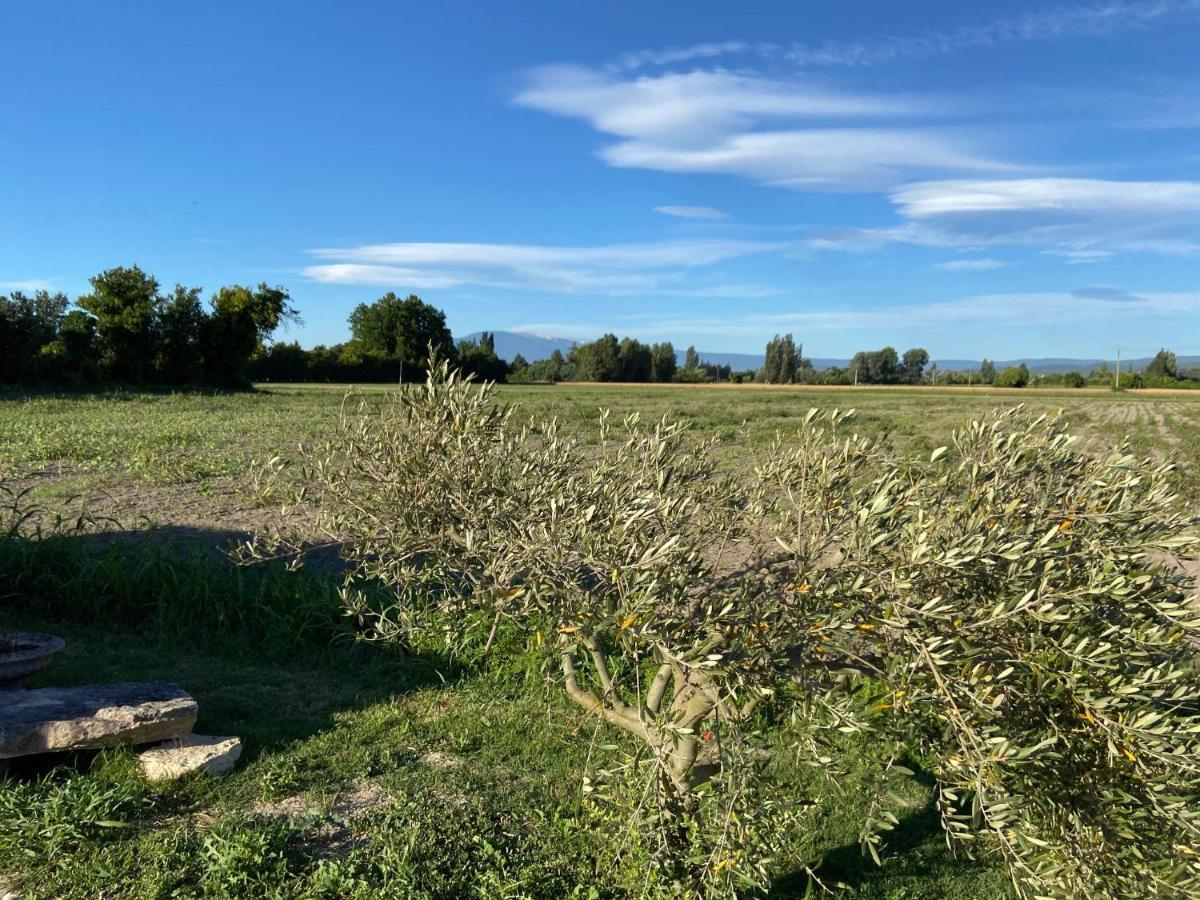 Ferienhaus Location Campagne En Provence - Vaucluse