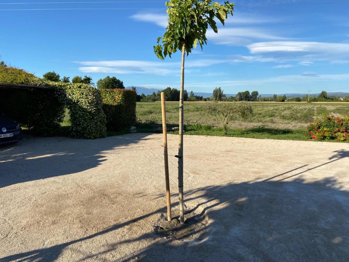 Location Campagne En Provence - Vaucluse Ferienhaus Pernes-les-Fontaines