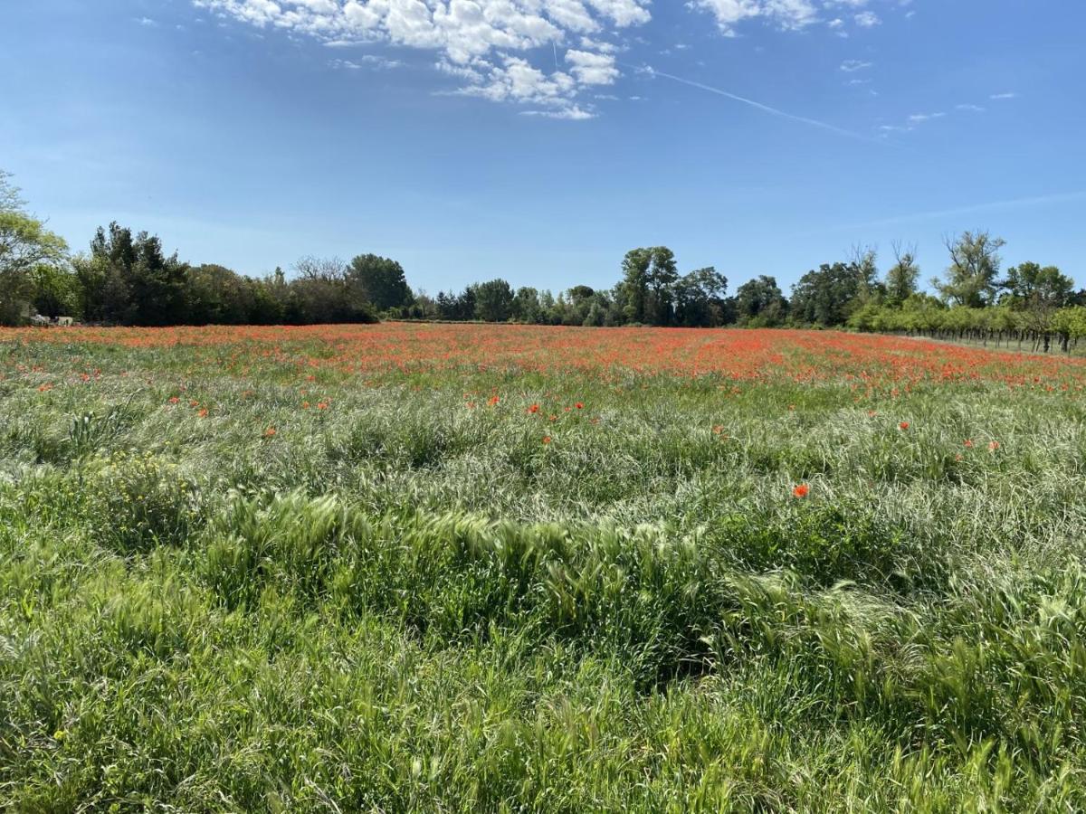 Location Campagne En Provence - Vaucluse Hébergement de vacances Pernes-les-Fontaines
